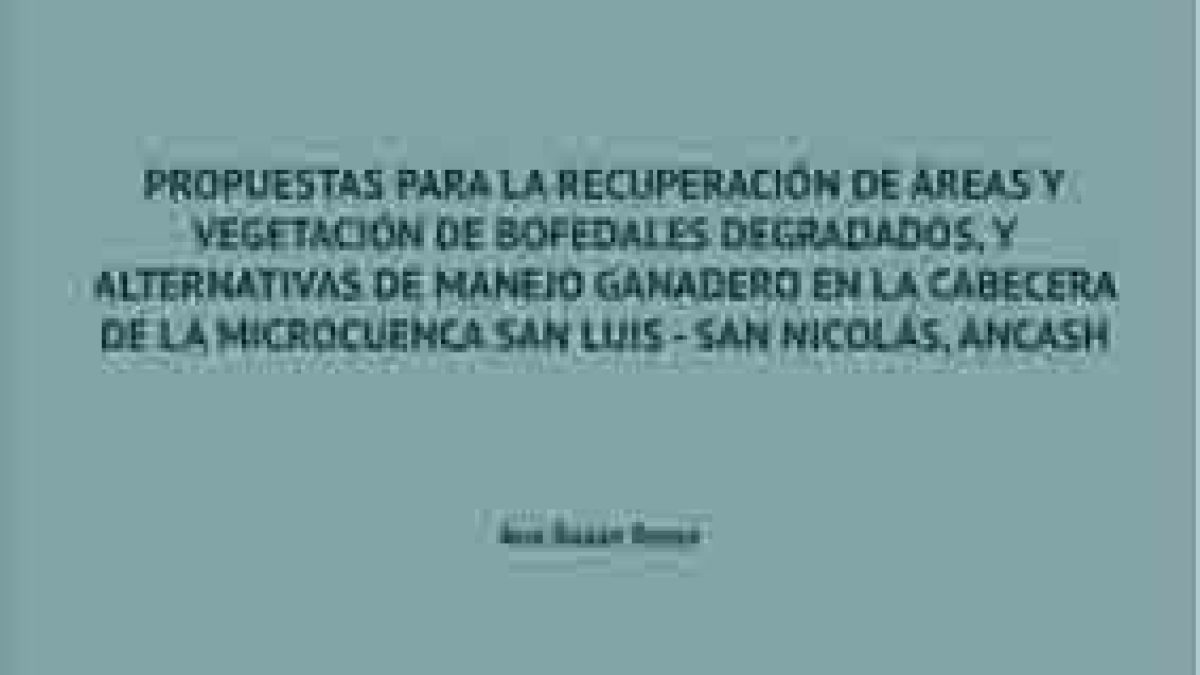 7.-Propuesta-Recuperacion-bofedales-BAZaN-ANA