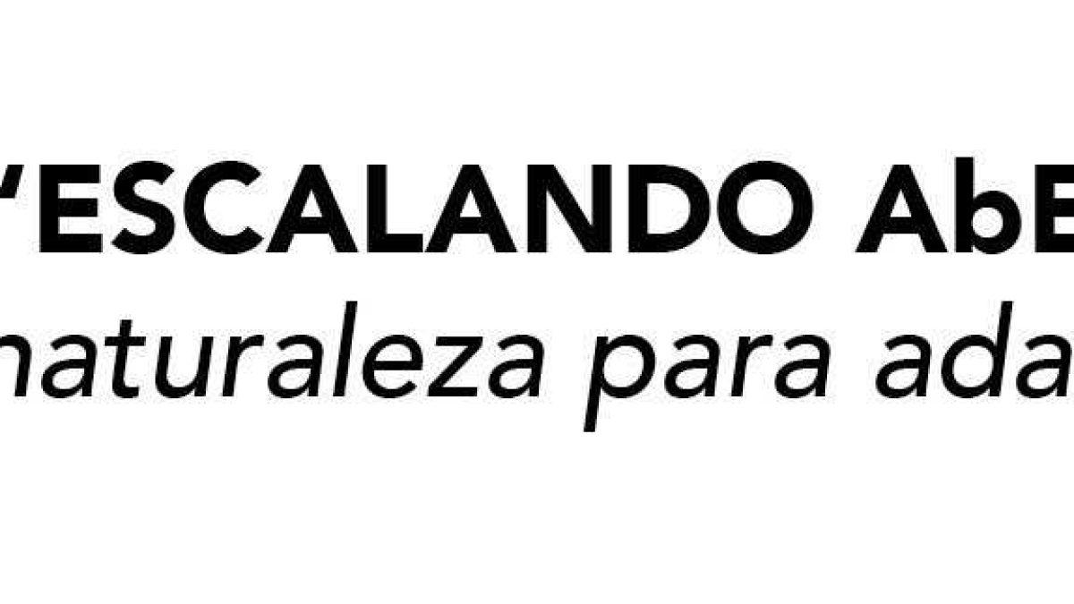 AbE_titulo_sub_rectangulos