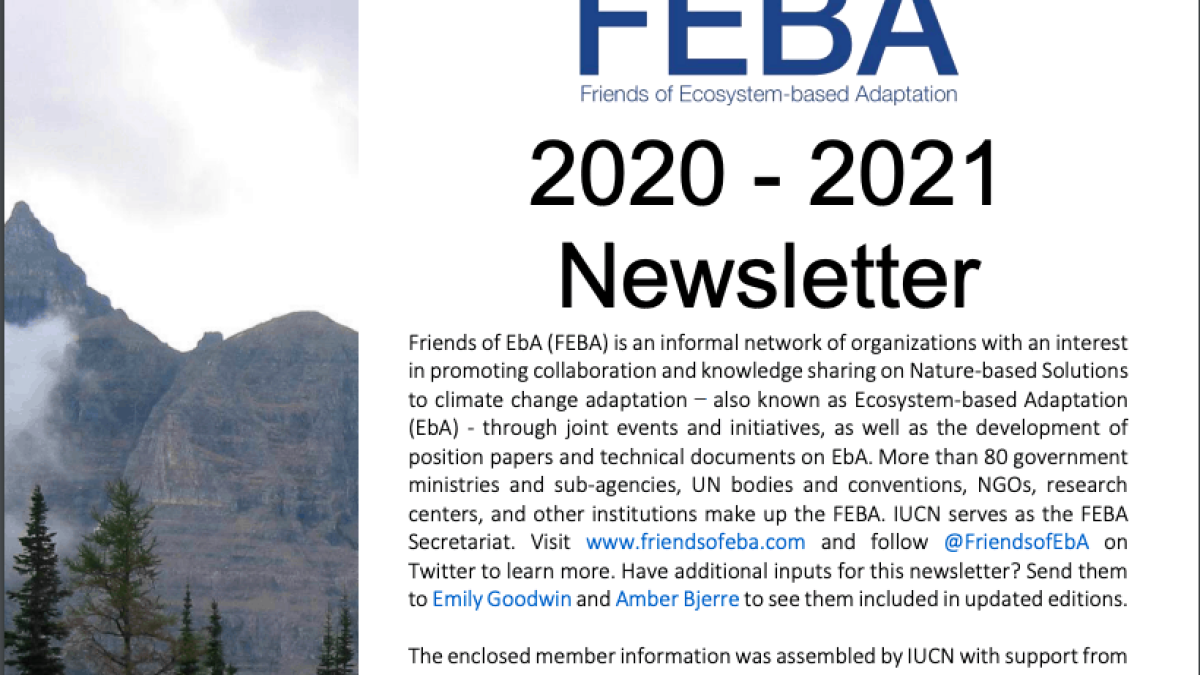 Boletín FEBA 2020-2021