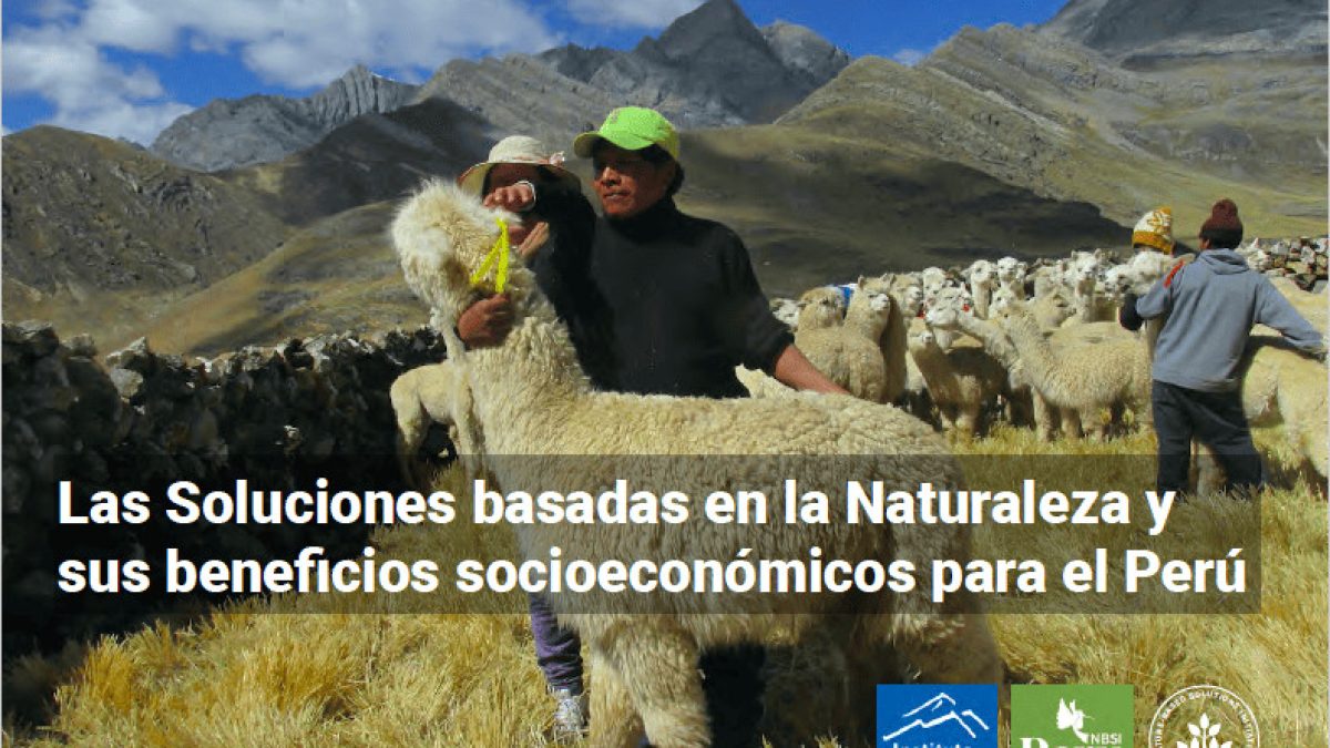 Captura-de-Pantalla-2023-12-12-a-las-08.36.17