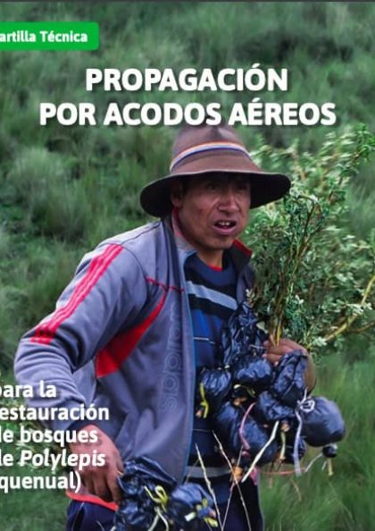 Captura-de-Pantalla-2024-05-02-a-las-12.04.12