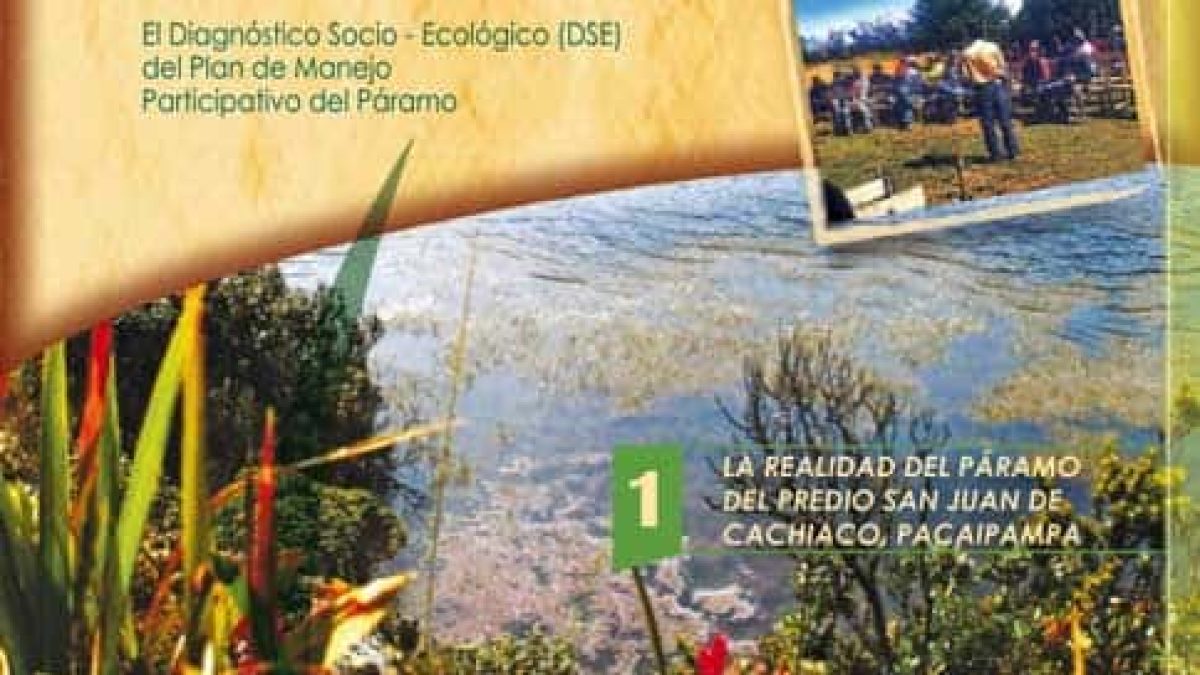 DSE-Pacaipampa
