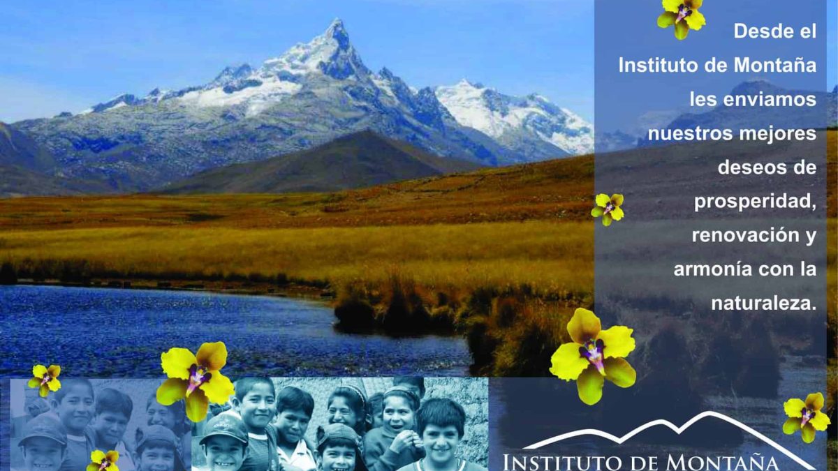 Tarjeta_IM_2011