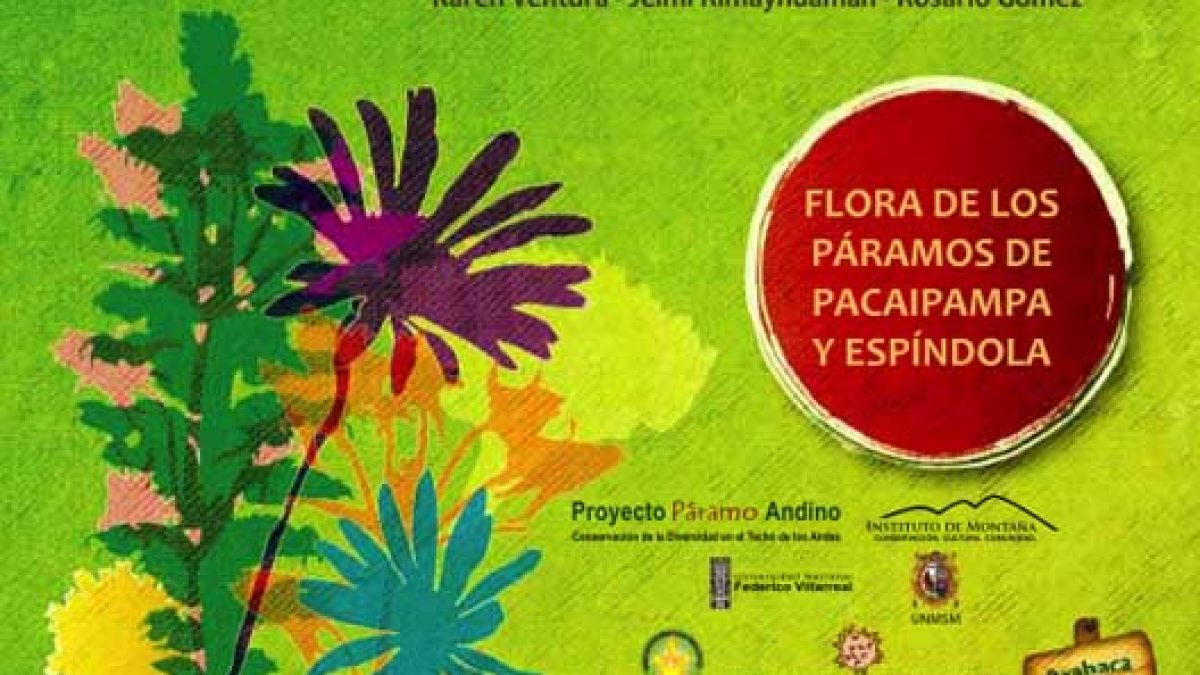 flora-de-los-paramos-de-pacaipampa-y-espindola