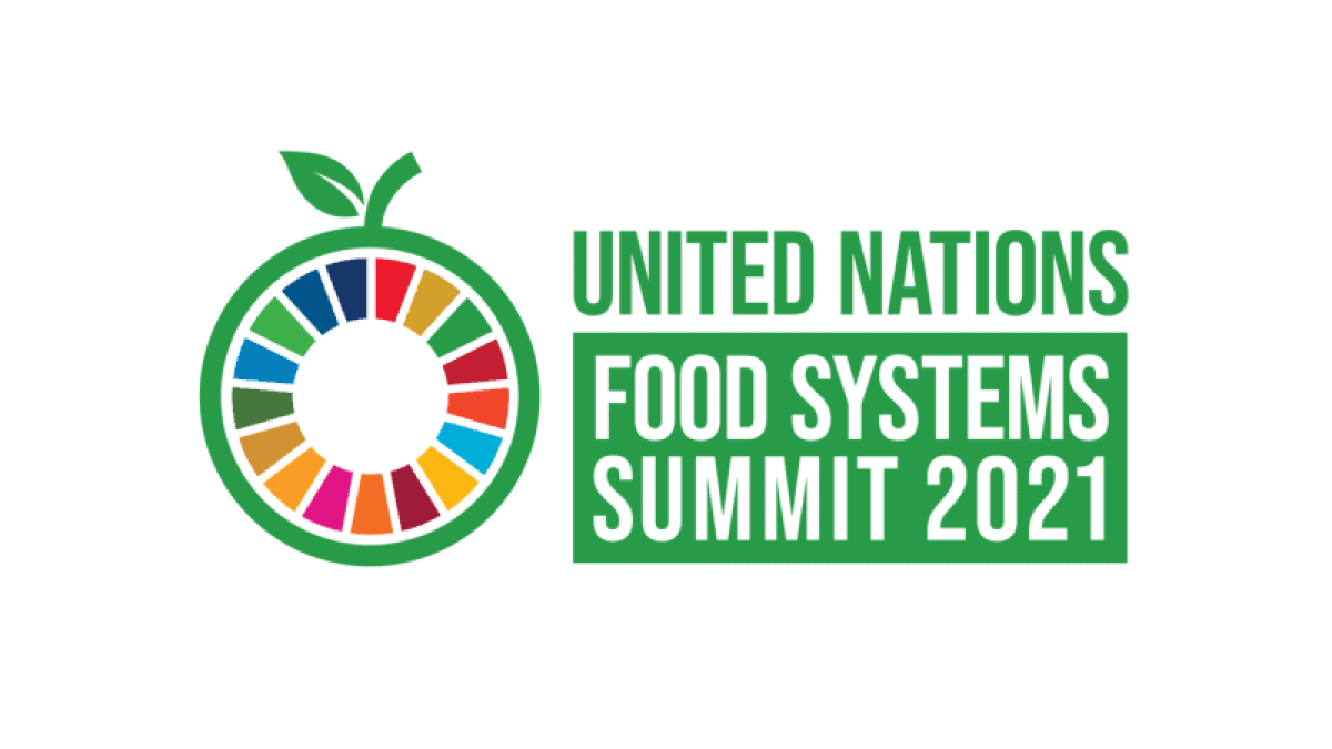 UN Food Systems Summit